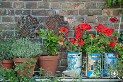 Klicka fÃ¶r stÃ¶rre