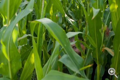 Klicka fÃ¶r stÃ¶rre