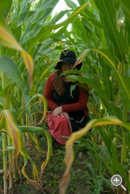 Klicka fÃ¶r stÃ¶rre