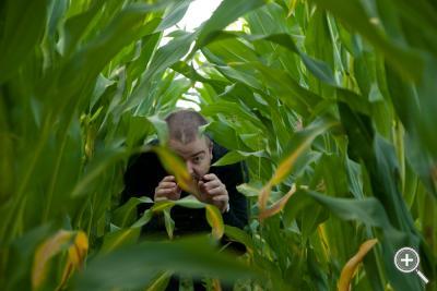 Klicka fÃ¶r stÃ¶rre