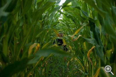 Klicka fÃ¶r stÃ¶rre