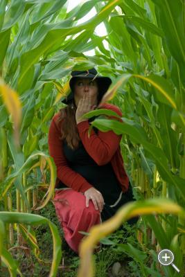 Klicka fÃ¶r stÃ¶rre