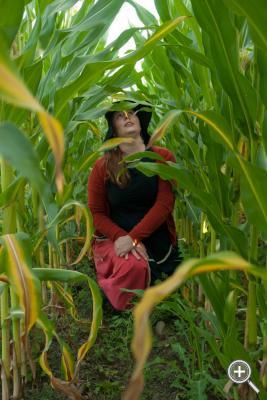 Klicka fÃ¶r stÃ¶rre