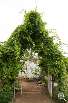 Klicka fÃ¶r stÃ¶rre