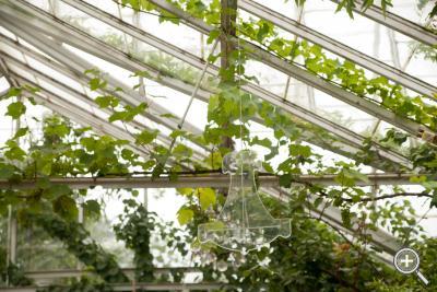 Klicka fÃ¶r stÃ¶rre