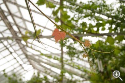 Klicka fÃ¶r stÃ¶rre