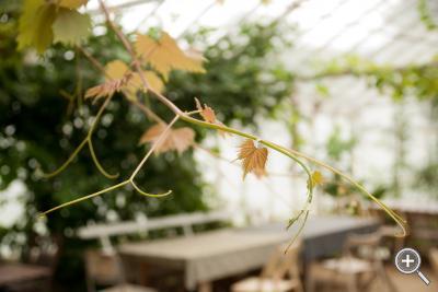 Klicka fÃ¶r stÃ¶rre