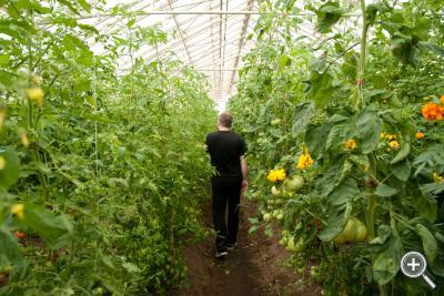 Klicka fÃ¶r stÃ¶rre