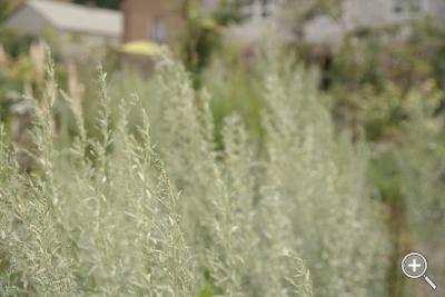 Klicka fÃ¶r stÃ¶rre