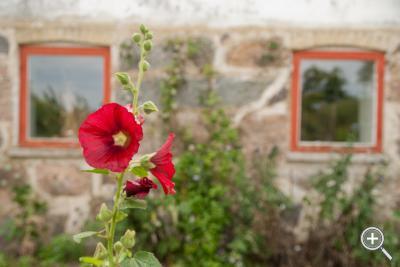 Klicka fÃ¶r stÃ¶rre