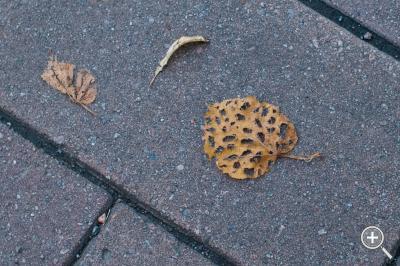 Klicka fÃ¶r stÃ¶rre