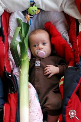 Klicka fÃ¶r stÃ¶rre