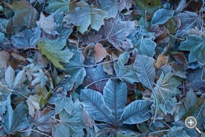 Klicka fÃ¶r stÃ¶rre