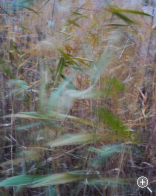 Klicka fÃ¶r stÃ¶rre