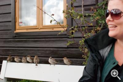 Klicka fÃ¶r stÃ¶rre