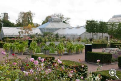 Klicka fÃ¶r stÃ¶rre