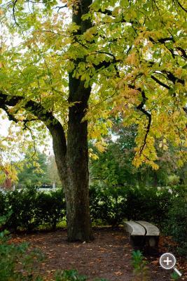 Klicka fÃ¶r stÃ¶rre