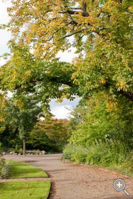 Klicka fÃ¶r stÃ¶rre