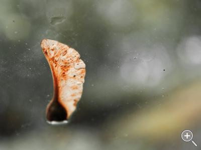 Klicka fÃ¶r stÃ¶rre