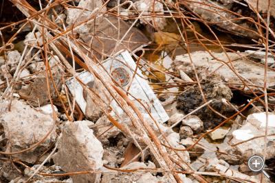 Klicka fÃ¶r stÃ¶rre