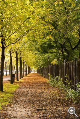 Klicka fÃ¶r stÃ¶rre