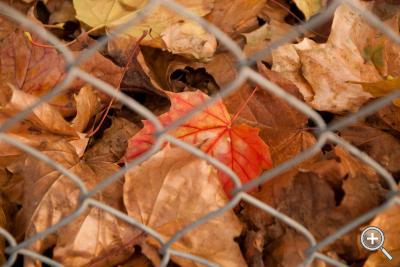 Klicka fÃ¶r stÃ¶rre