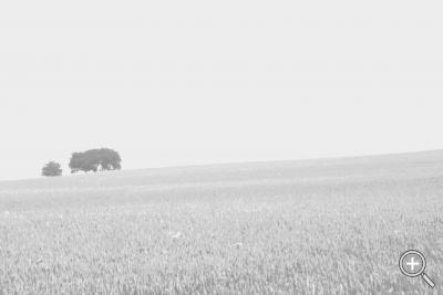 Klicka fÃ¶r stÃ¶rre