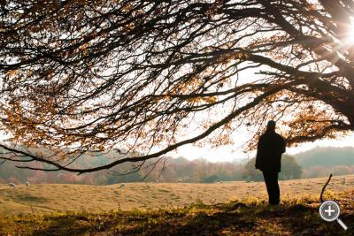 Klicka fÃ¶r stÃ¶rre