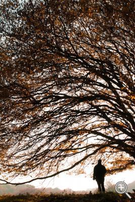 Klicka fÃ¶r stÃ¶rre