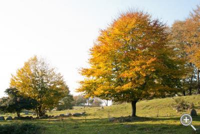 Klicka fÃ¶r stÃ¶rre