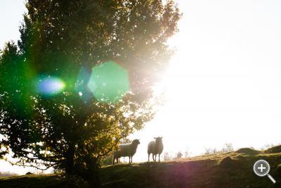 Klicka fÃ¶r stÃ¶rre