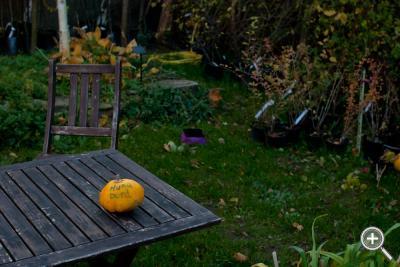 Klicka fÃ¶r stÃ¶rre