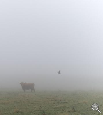 Klicka fÃ¶r stÃ¶rre