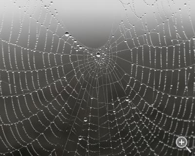 Klicka fÃ¶r stÃ¶rre