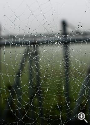 Klicka fÃ¶r stÃ¶rre