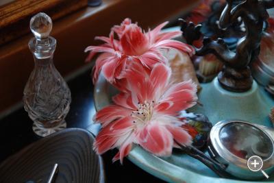 Klicka fÃ¶r stÃ¶rre