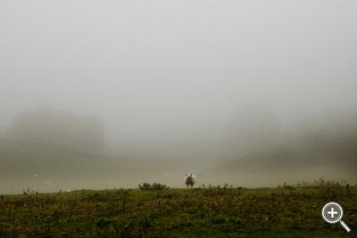 Klicka fÃ¶r stÃ¶rre