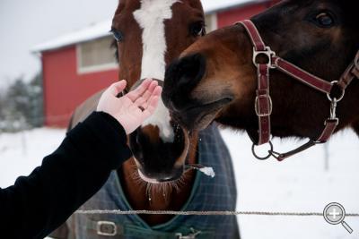 Klicka fÃ¶r stÃ¶rre