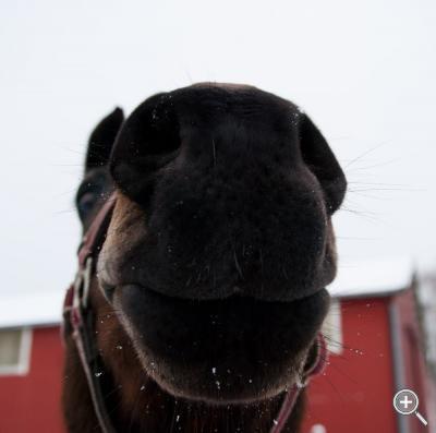 Klicka fÃ¶r stÃ¶rre