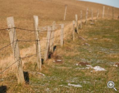Klicka fÃ¶r stÃ¶rre