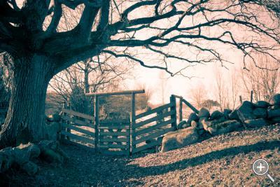 Klicka fÃ¶r stÃ¶rre