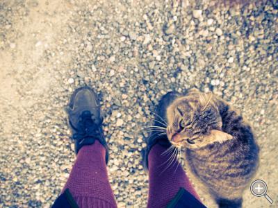 Klicka fÃ¶r stÃ¶rre