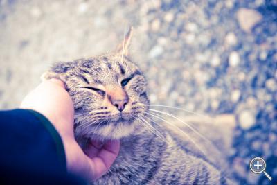 Klicka fÃ¶r stÃ¶rre