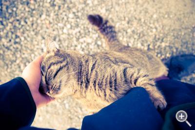 Klicka fÃ¶r stÃ¶rre