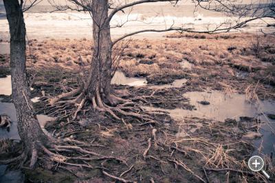 Klicka fÃ¶r stÃ¶rre