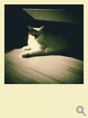 Klicka fÃ¶r stÃ¶rre