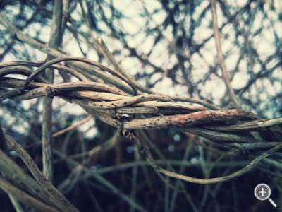 Klicka fÃ¶r stÃ¶rre