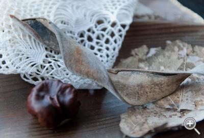 Klicka fÃ¶r stÃ¶rre