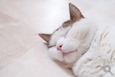 Klicka fÃ¶r stÃ¶rre