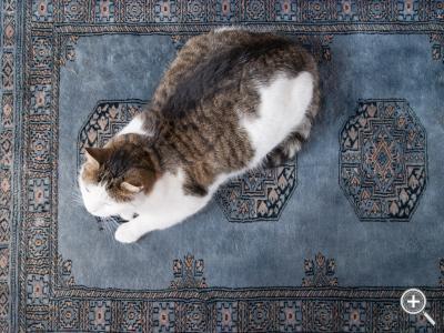 Klicka fÃ¶r stÃ¶rre